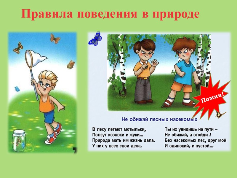 Правила поведения в природе Помни!